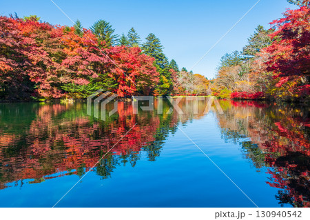 軽井沢・雲場池（秋） 130940542