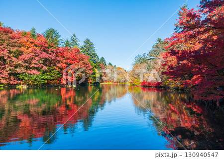 軽井沢・雲場池（秋） 130940547