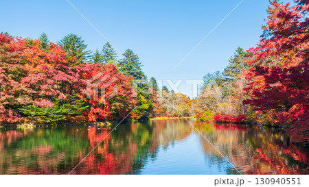 軽井沢・雲場池（秋） 130940551