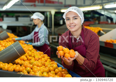 Young positive cheerful female worker in colorful uniform holds fresh ripe tangerines in her hands near the conveyor line. 130940720