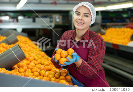Young positive cheerful female worker in colorful uniform holds fresh ripe tangerines in her hands near the conveyor line. Young positive cheerful female worker in colorful uniform holds fresh ripe tangerines in her hands near the conveyor line. 130941089