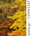 鮮やかな紅葉 130941397