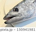 新鮮なハガツオの表情 130941981