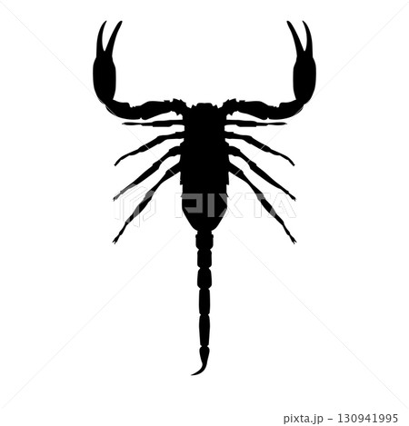 Scorpion silhouette Scorpion silhouette 130941995