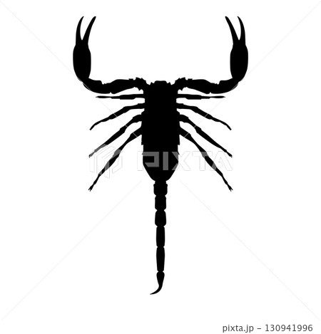 Scorpion silhouette 130941996