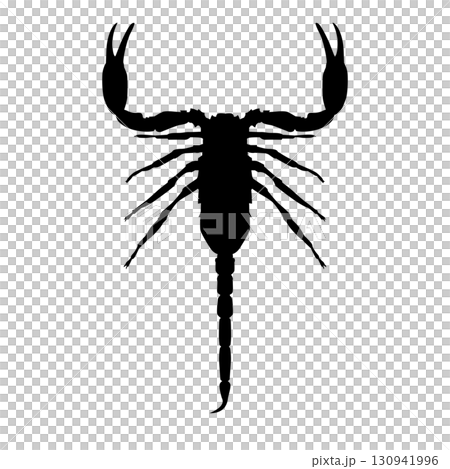 Scorpion silhouette 130941996