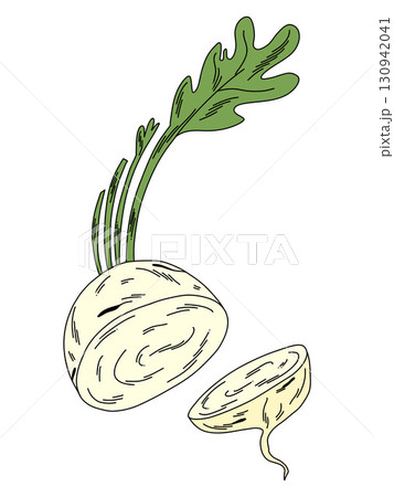 Cartoon daikon, white in cross section, with green stems and leaf 130942041