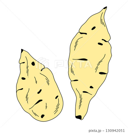Collection of yellow raw sweet potato, whole potatoes on white background Collection of yellow raw sweet potato, whole potatoes on white background 130942051