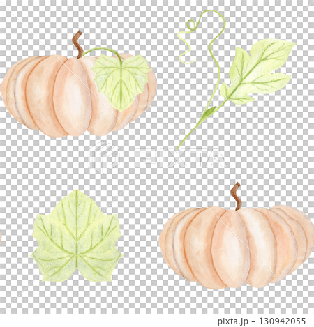 Beige pumpkin and green leaves watercolor seamless pattern isolated on white. Hand-painted harvest illustration, perfect for Thanksgiving, Halloween, seasonal decor, stationary, and digital designs Beige pumpkin and green leaves watercolor seamless pattern isolated on white. Hand-painted harvest illustration, perfect for Thanksgiving, Halloween, seasonal decor, stationary, and digital designs 130942055