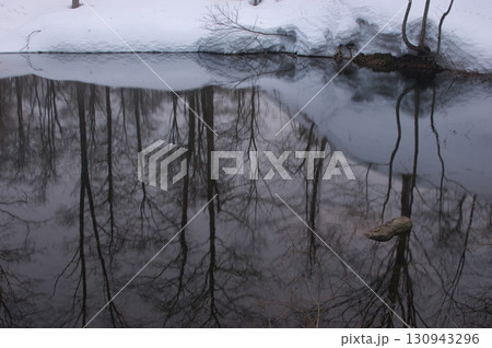 林の映り込み 林の映り込み 130943296