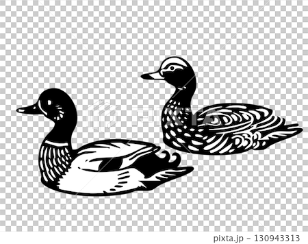 A dude of a duck 130943313