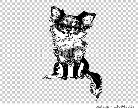 吉娃娃，觸感細膩 130943318