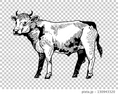 A cow with a detailed touch 130943320