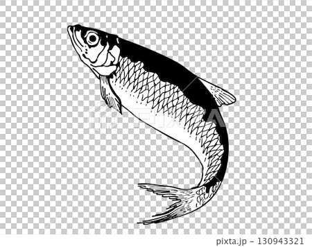 細密タッチの魚 細密タッチの魚 130943321