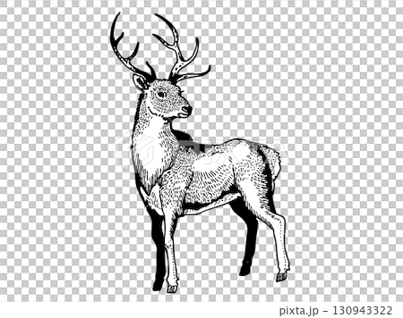 Deer with detailed touches 130943322