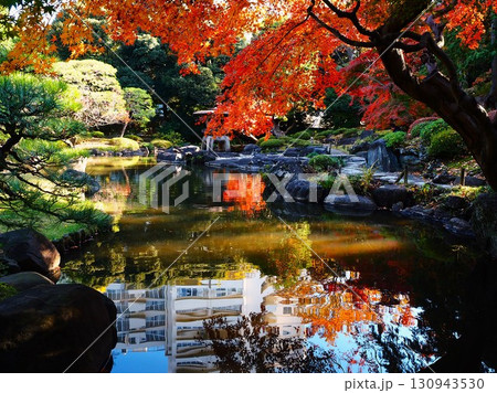 晩秋を迎えた旧古河庭園心字池の美しい紅葉 130943530