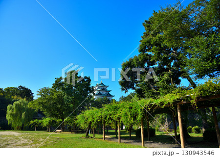 《愛知県》夏の名古屋城 130943546