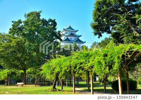 《愛知県》夏の名古屋城 130943547