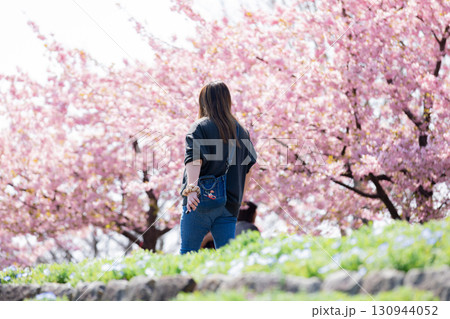 満開の河津桜を楽しむ女性 130944052