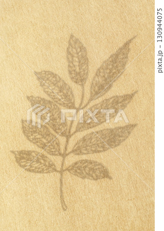 Leaf silhouette with copy space Leaf silhouette with copy space 130944075