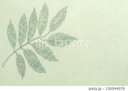 Leaf silhouette with copy space Leaf silhouette with copy space 130944076