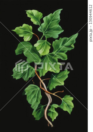 an AI Image Generator, Lush Green Ivy Leaves with Vine an AI Image Generator, Lush Green Ivy Leaves with Vine 130944612