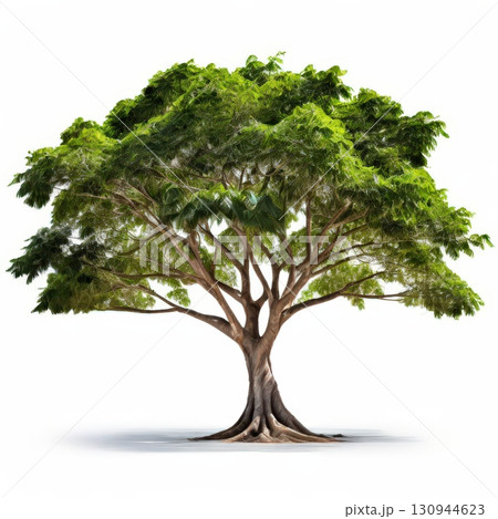 an AI Image Generator, Majestic Tree with Lush Green Foliage 130944623