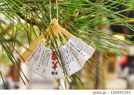 智恩寺（京都府宮津市） 130945193