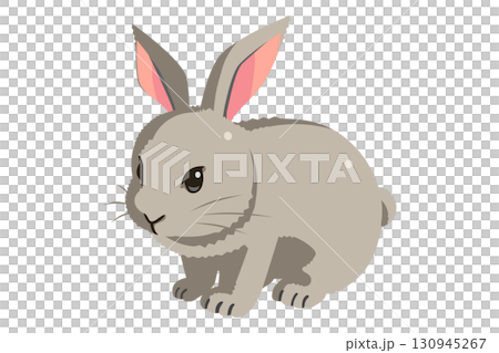 野ウサギ 130945267