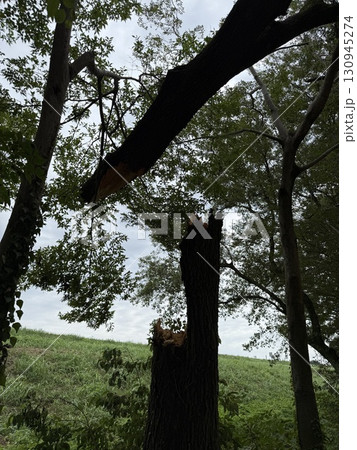 突風被害 130945274