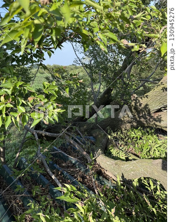 突風被害 突風被害 130945276
