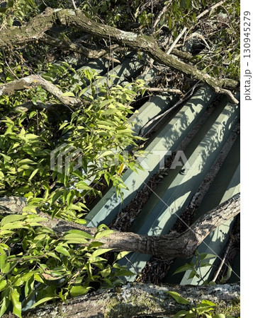 突風被害 130945279