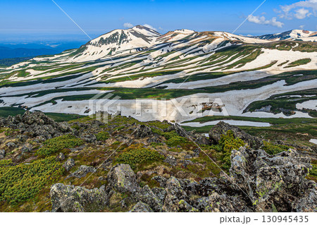 高山に残る雪と緑のコントラスト 白雲岳 130945435