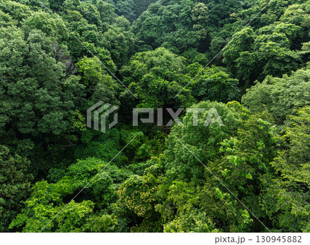 空から見る森 空撮 空から見る森 空撮 130945882