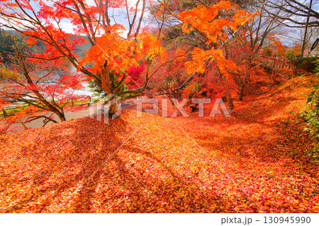 秋の曽木の滝 秋の曽木の滝 130945990