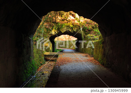 秋の曽木の滝 130945999