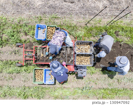 収穫作業 130947092
