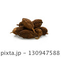Isolated of cardamom, black cardamom isolate on white background 130947588