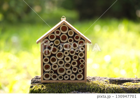 A charming bee house made of bamboo provides a natural habitat for pollinators in the garden. A charming bee house made of bamboo provides a natural habitat for pollinators in the garden. 130947701