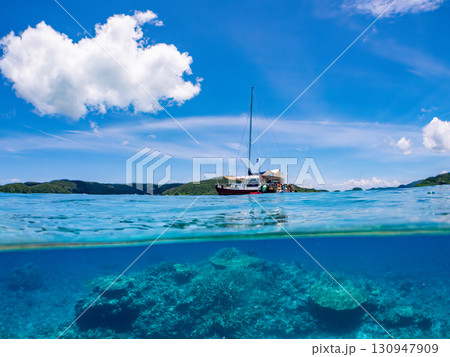 カタマランヨットのダイビングクルーズ船の半水面撮影。美しいサンゴ礁と熱帯魚の群れ。 沖縄県島尻郡慶良 130947909