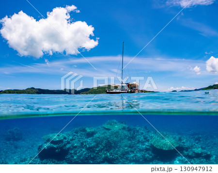 カタマランヨットのダイビングクルーズ船の半水面撮影。美しいサンゴ礁と熱帯魚の群れ。 沖縄県島尻郡慶良 130947912