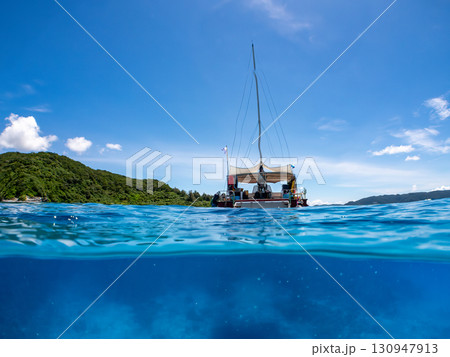 カタマランヨットのダイビングクルーズ船の半水面撮影。美しいサンゴ礁と熱帯魚の群れ。 沖縄県島尻郡慶良 130947913
