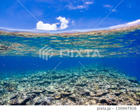 カタマランヨットのダイビングクルーズ船の半水面撮影。美しいサンゴ礁と熱帯魚の群れ。 沖縄県島尻郡慶良 130947916