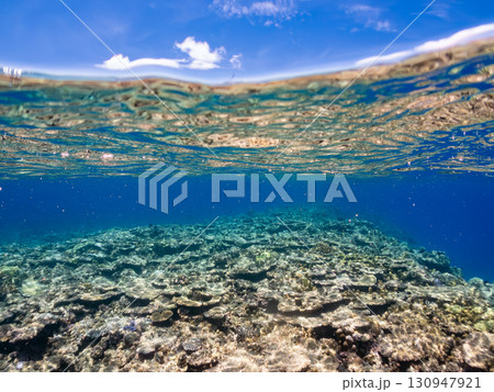 カタマランヨットのダイビングクルーズ船の半水面撮影。美しいサンゴ礁と熱帯魚の群れ。 沖縄県島尻郡慶良 130947921