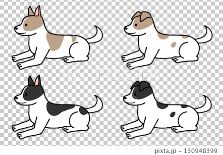 犬・保護犬・雑種犬/ブチ犬 犬・保護犬・雑種犬/ブチ犬 130948399