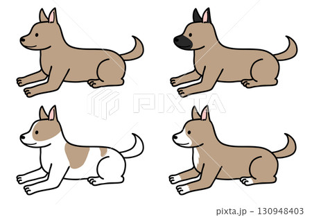 いろいろな色柄の犬・保護犬・雑種犬 130948403