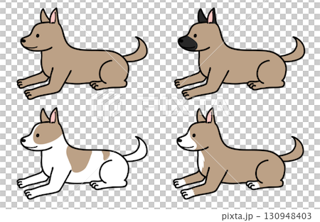 いろいろな色柄の犬・保護犬・雑種犬 130948403