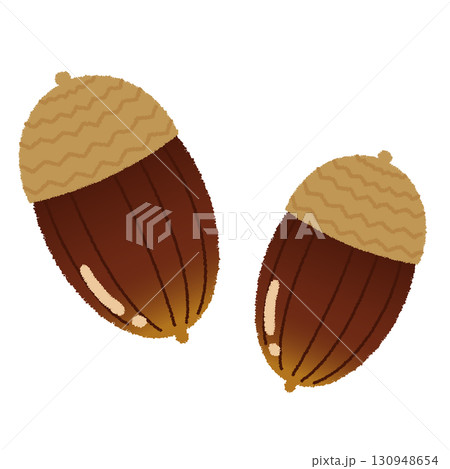 どんぐりのイラスト 130948654