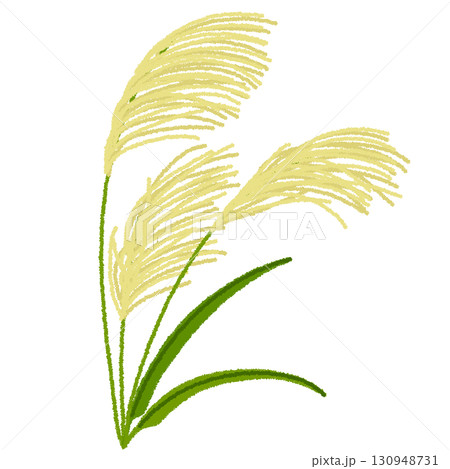 ススキのイラスト 130948731