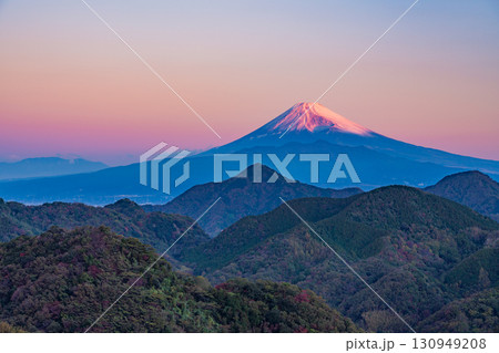【静岡県】伊豆の国・葛城山から富士山　モルゲンロート 130949208